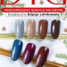 Didier Lab Macarons biscuit 10ml