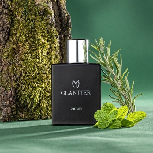 Glantier Premium 797 perfumy męskie 50ml odpowiednik 1 Million Elixir Paco Rabanne