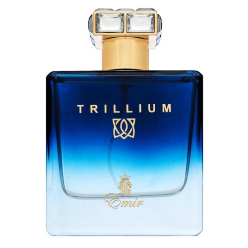 Perfumy Męskie Emir Trillium Paris Corner 100ml