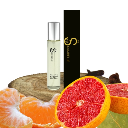 Sanibelle 106 perfumy męskie 33 ml odpowiednik Invictus – Paco Rabanne