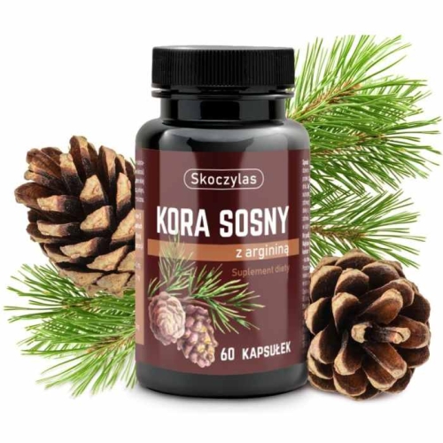 Skoczylas Kora sosny Pycnogenol z argininą 60 kapsułek